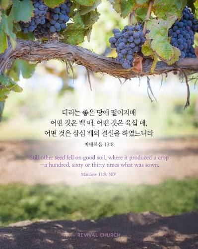 2026년 7월 12일 교회소식