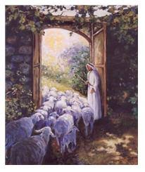 2026년 4월 26일 교회소식