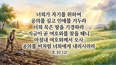 2026년 8월 9일 교회소식
