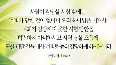 2025년 12월 28일 교회소식